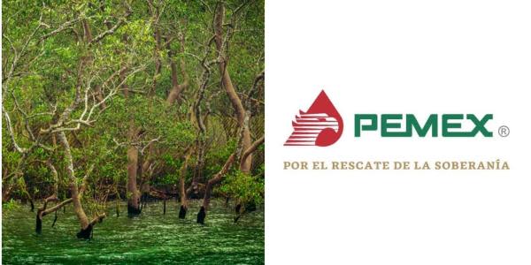 Nueva refinería de Pemex se encontrará en área protegida