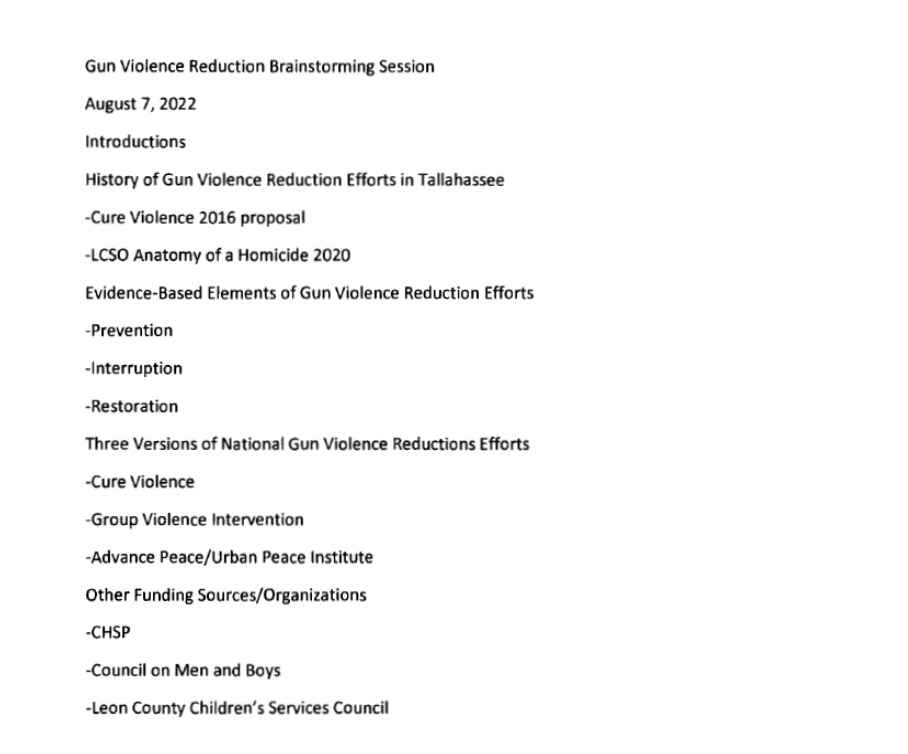 The minutes, obtained by the Tallahassee Democrat in a public records request, included a sign-in sheet, a list of topics and print-outs of programs.