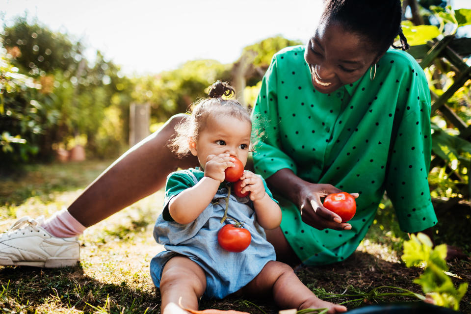 A young baby sitting in the back garden and eating fresh, home grown tomatoes with her mom.