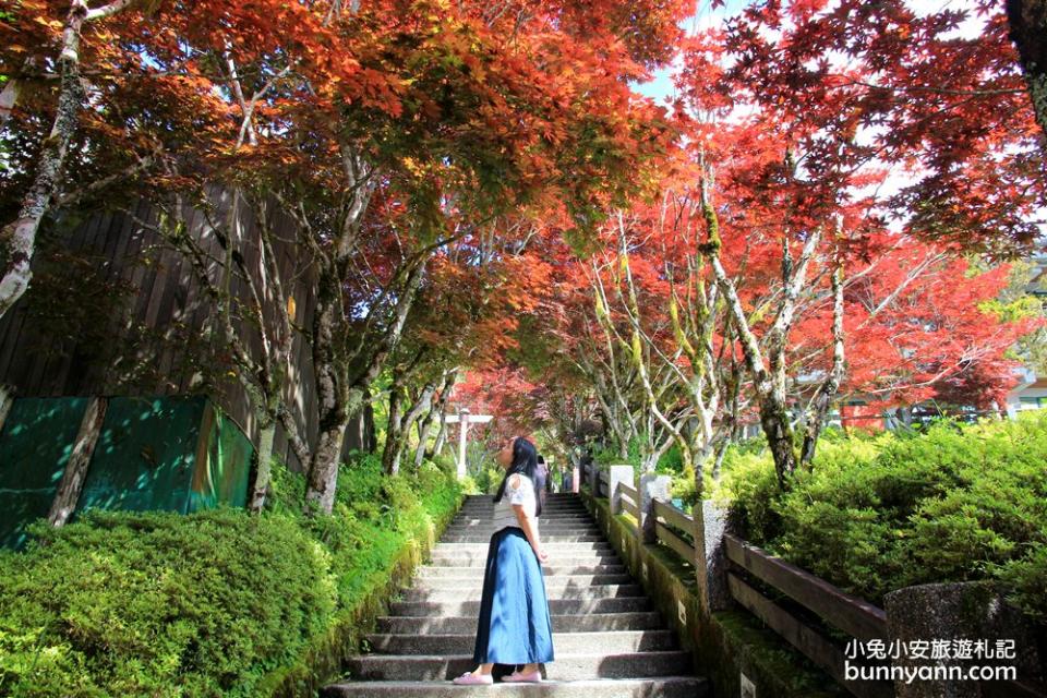 宜蘭太平山一日遊