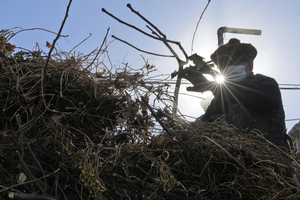 A worker wearing masks clears foliage from the street in Beijing, Friday, Dec. 16, 2022. A week after China dramatically eased some of the world's strictest COVID-19 containment measures, uncertainty remained Thursday over the direction of the pandemic in the world's most populous nation. (AP Photo/Ng Han Guan)