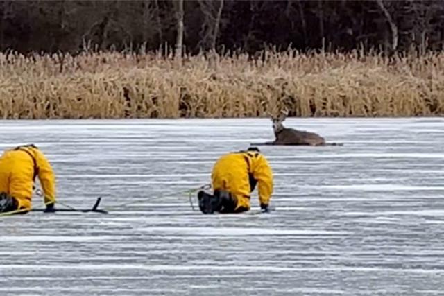Have You Heard Of This Minnesota Urban Legend, Hookers On Ice?