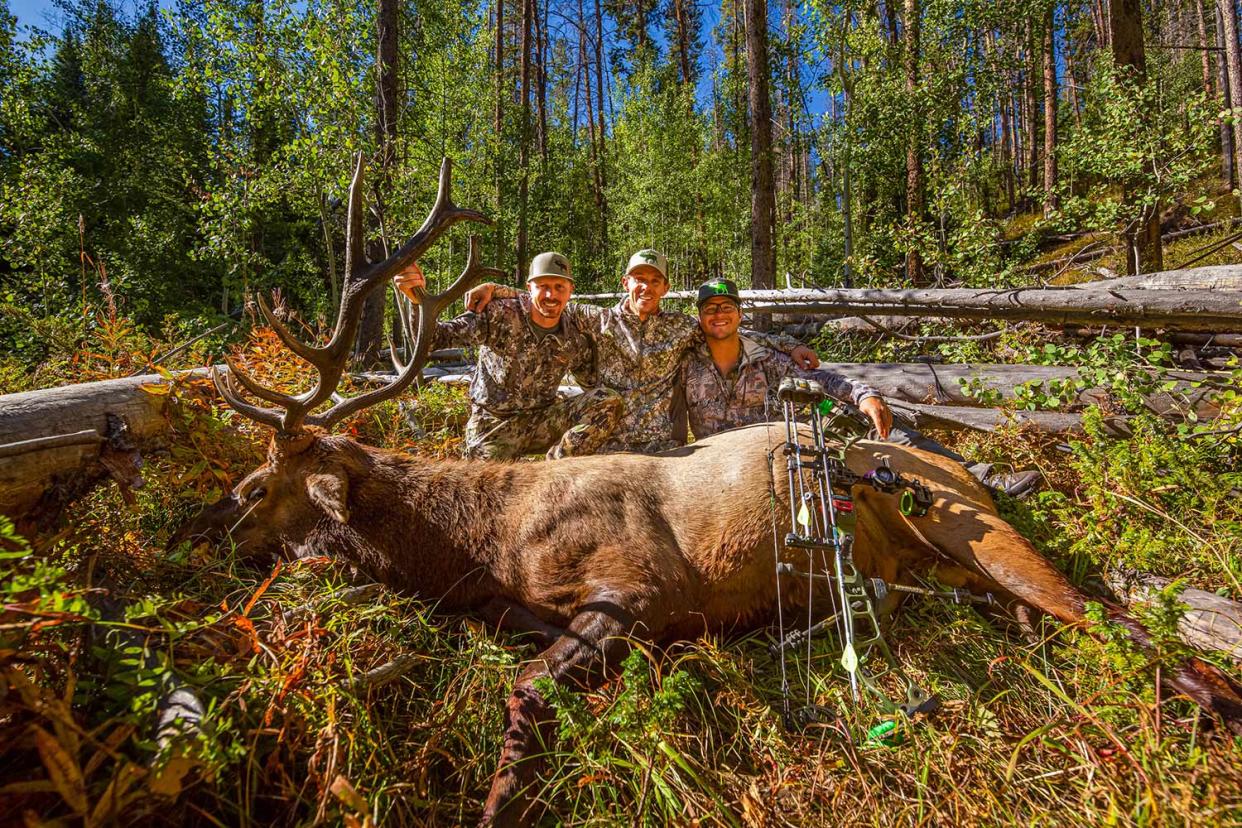 elk hunting