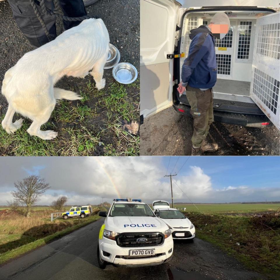 Lancashire Telegraph: Ein Mann wurde festgenommen und sein Hund wurde beschlagnahmt, nachdem er von der Lancashire Rural Police angehalten worden war