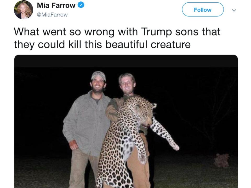 Don Jr. and Eric Trump hunting.