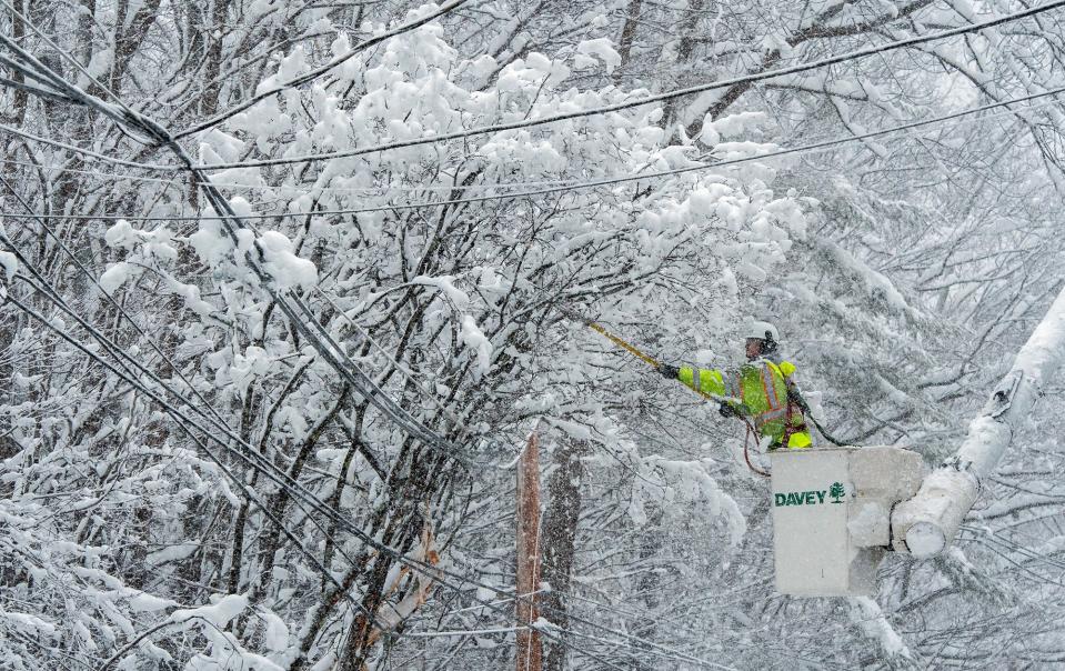 Tree crew foreman Seth Galentine cuts a fallen tree from a National Grid power line on South Ashburnham Road in Westminster Tuesday. The two-man crew from Davey Tree traveled from Michigan for the storm.