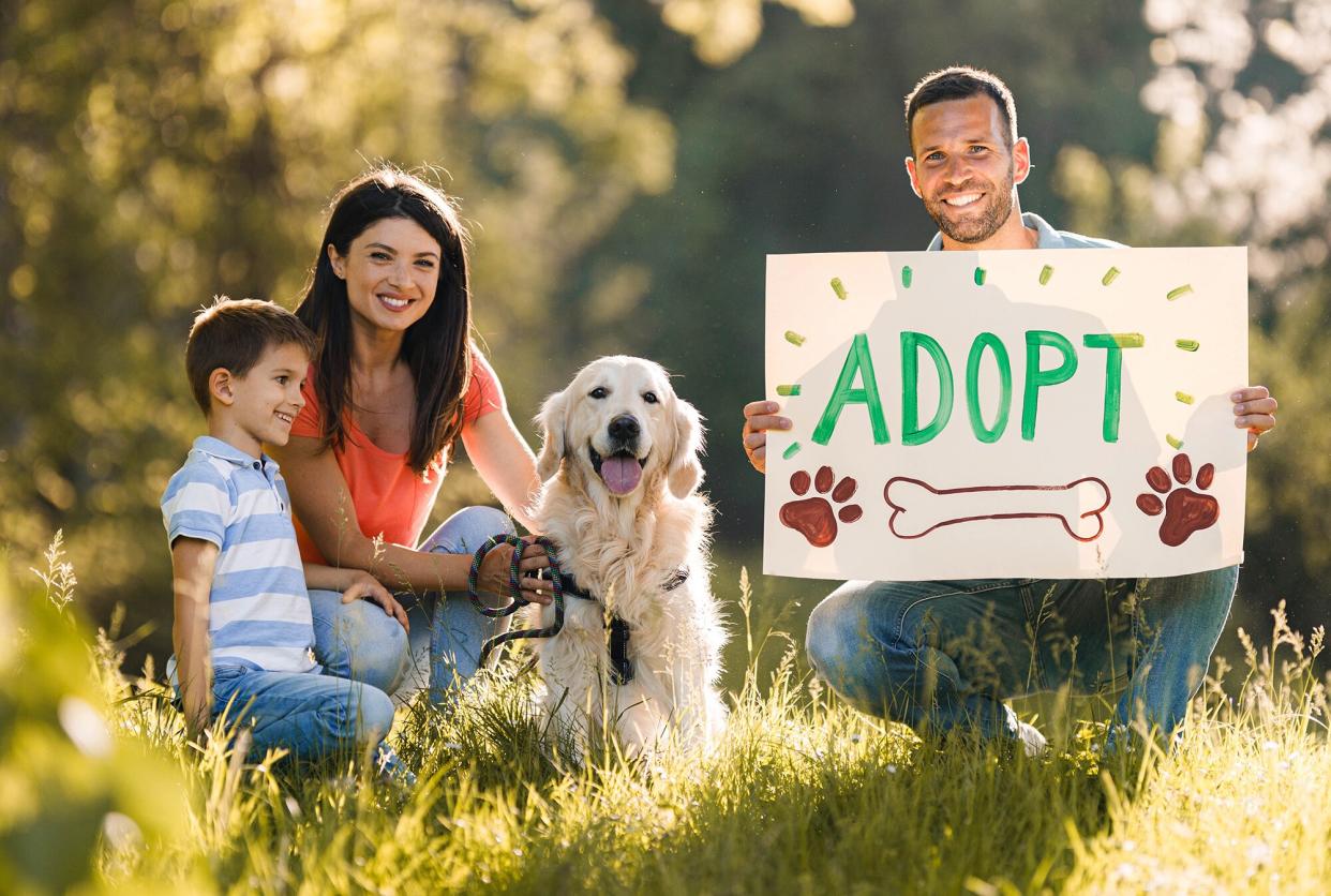 Family adopt