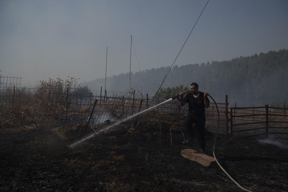 Feuer in einem Gebiet nahe der Grenze zum Libanon (Bild: dpa)