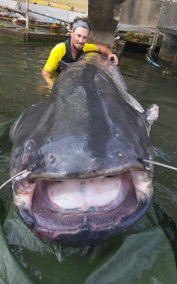 The fish was caught by Geoffrey Rulleau, a local fishing enthusiast - Geoffrey Rulleau/Facebook