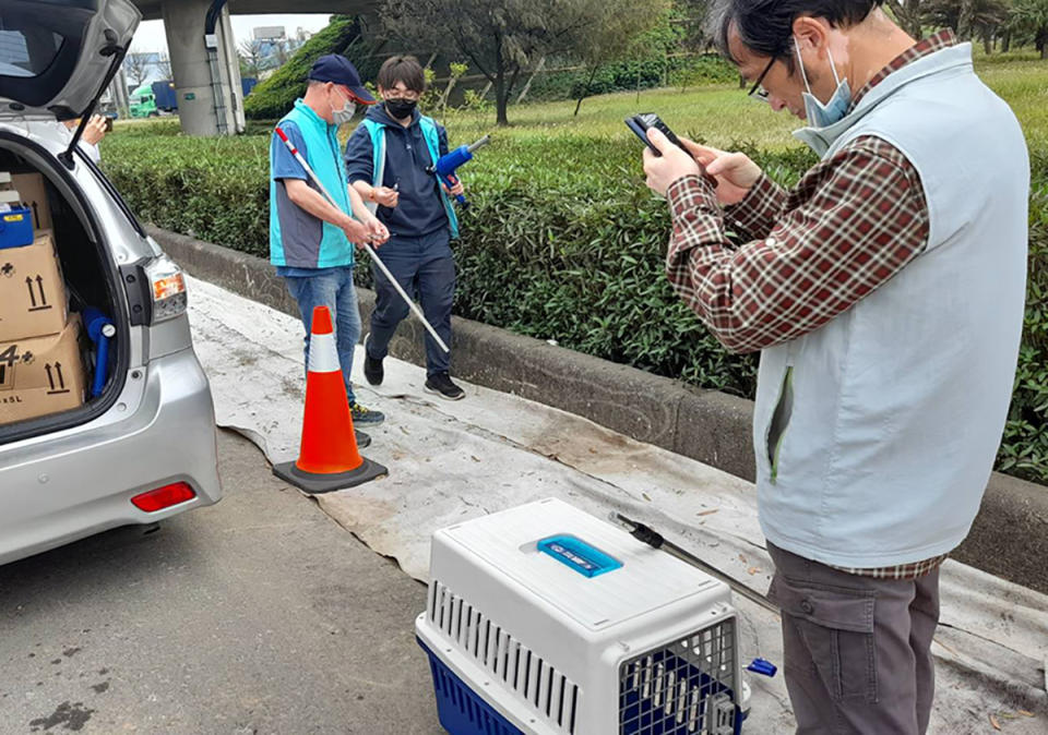 桃園市政府人員連日來不斷在狒狒出沒地點附近搜尋、圍捕。（圖：桃園市農業局提供）