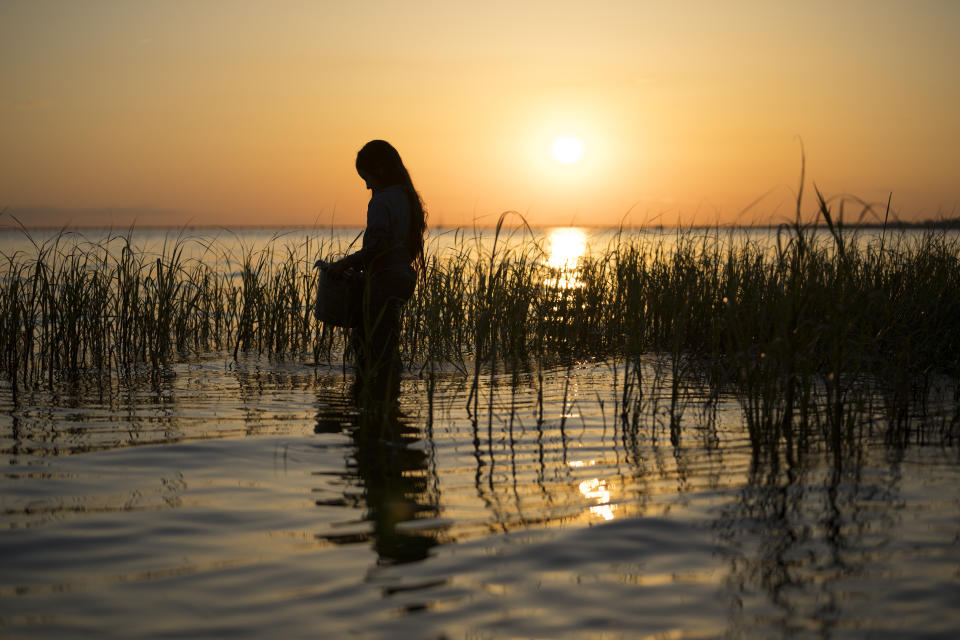 This image released by Columbia Pictures shows Jojo Regina in a scene from "Where the Crawdads Sing." (Michele K. Short/Sony Pictures via AP)