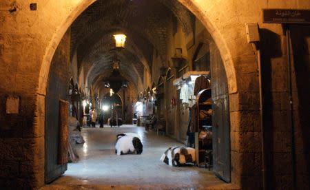 A view shows the Khan al-Shounah market, in the Old City of Aleppo, Syria December 11, 2009. REUTERS/Khalil Ashawi