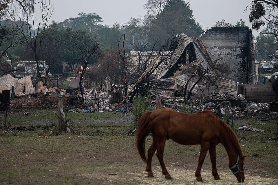 A horse grazes in front of a burnt-out property affected by the fires on the outskirts of Cobargo, New South Wales, Australia. 