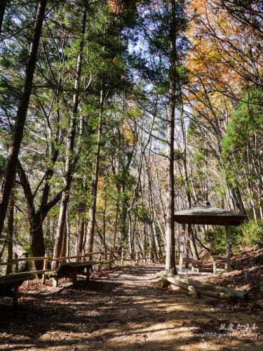 【日本-福島】東北賞楓疾行（7）大內宿