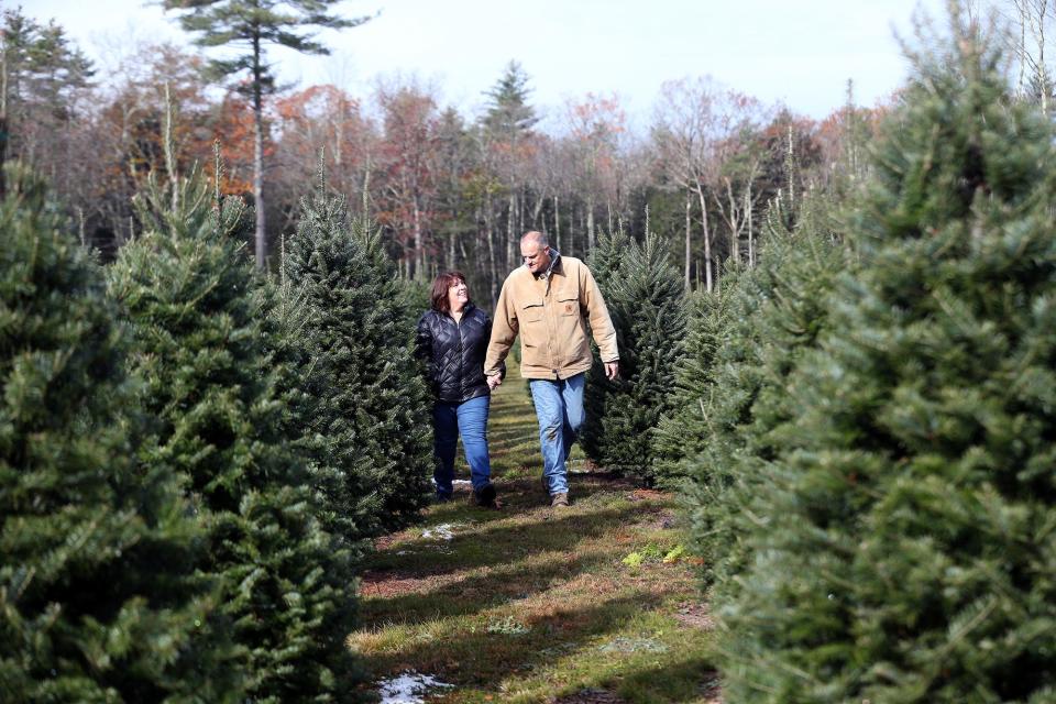 Colleen Bovaird-Liberty and her husband Ryan Liberty are opening Crooked Brook Farm as the Christmas trees they have been nurturing for years are ready at the Wells property.