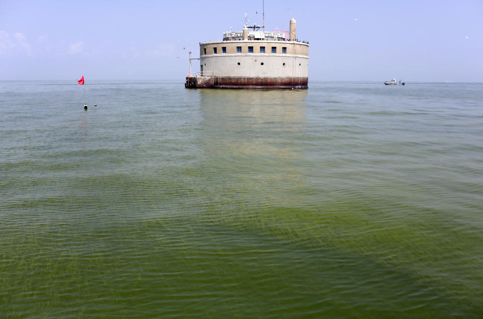 (FOTOS) La invasión de algas malolientes y tóxicas que amenaza las aguas de EEUU