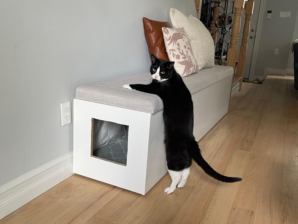 maisie litter box cb2 bench