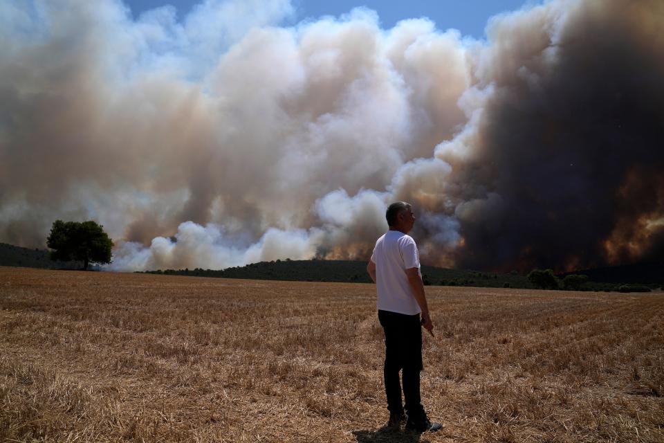 A man stands on a field as smoke of a fire is seen in the background in Inoi near Athens (AP)