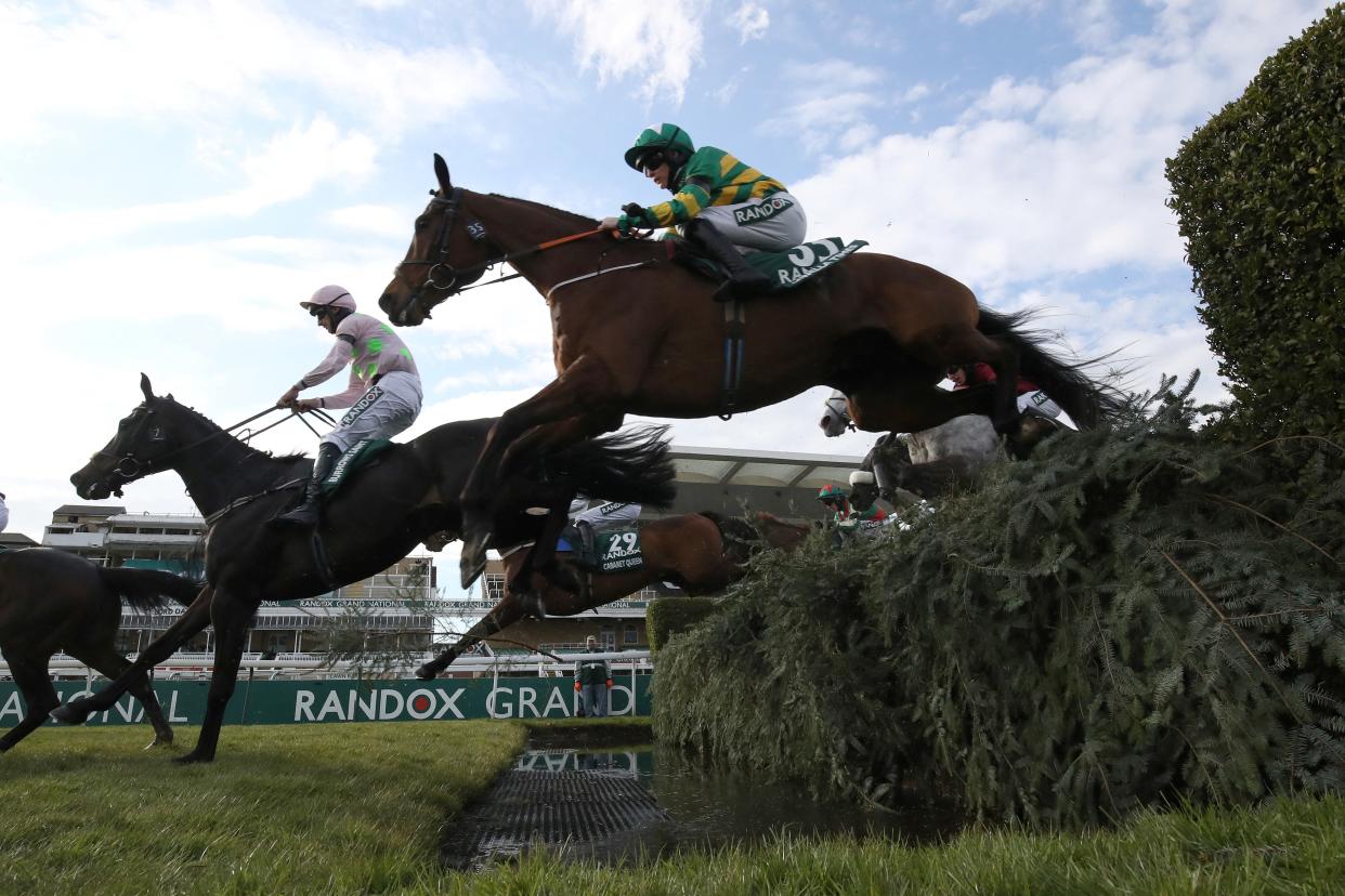 The Long Mile was put down following the 2021 Grand National (Getty)