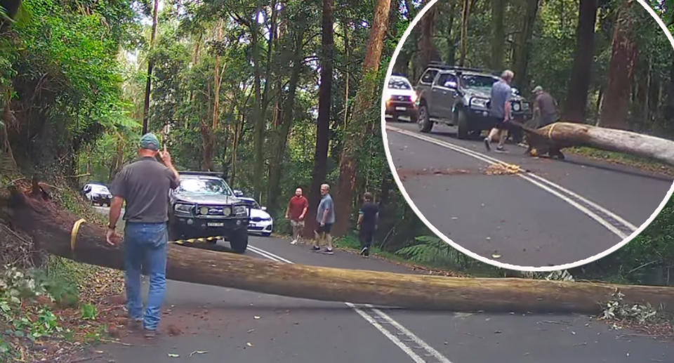 Group of men helping move a fallen tree on Jamberoo Mountain Road in NSW. 