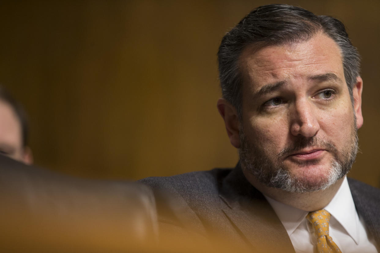 Sen. Ted Cruz on Dec. 12. (Photo: Zach Gibson/Getty Images)