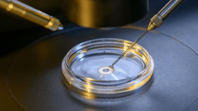 An in vitro fertilization laboratory