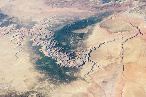 The Grand Canyon as seen from the International Space Station on Marc h 25, 2014.