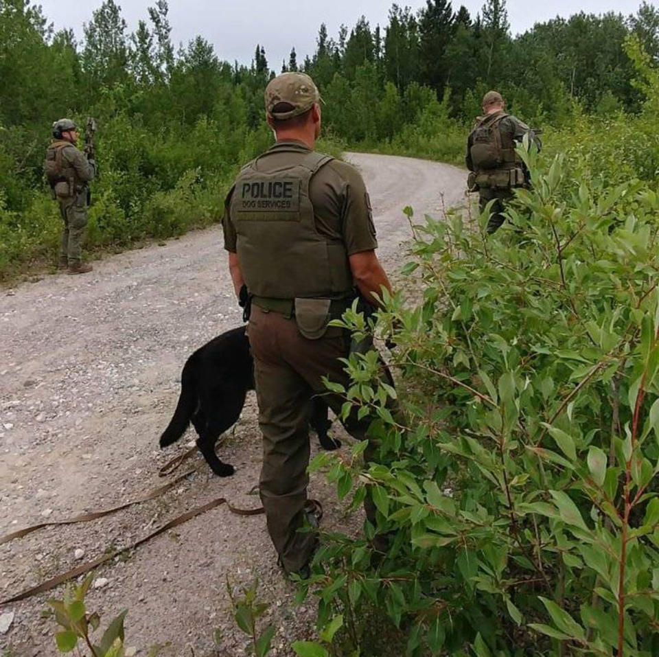 The Royal Canadian Mounted Police, SWAT teams and sniffer dogs search the rugged terrain for murder suspects Bryer Schmegelsky and Kam McLeod. Source: RCMP