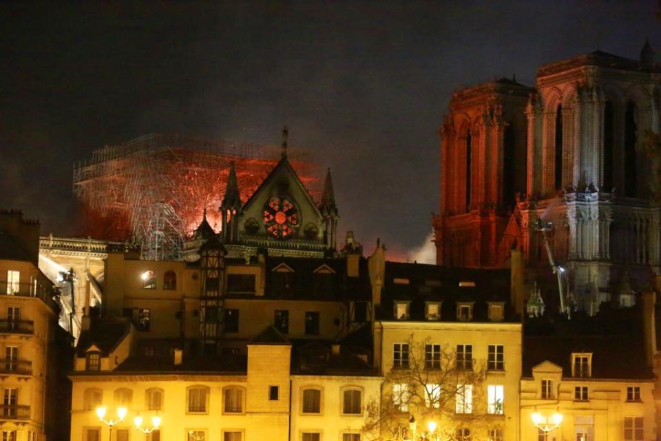 A Challenge of Rebuilding Notre Dame: The Forests That Supplied Its Wood Are All But Gone