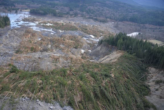 The landslide buried houses and flattened trees near Oso, Wash.