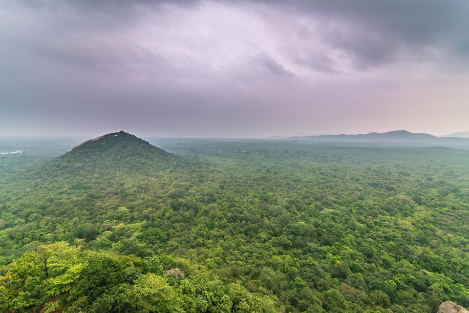 Dambulla in the Central Province, Sri Lanka.