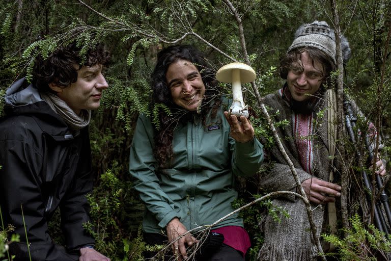 Giuliani Furci, a field mycologist, is flanked by the biologist Merlin Sheldrake, left, and his musician brother, Cosmo Sheldrake, during an expedition into Alerce Costero National Park in Chile on April 15, 2022. Some species of mushrooms can store exceptionally high amounts of carbon that would otherwise stay in the atmosphere. (Tomas Munita/The New York Times)