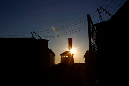 Barbed wire is seen on the wall of the former concentration camp in Mauthausen, Austria, November 29, 2016. REUTERS/Leonhard Foeger/Files