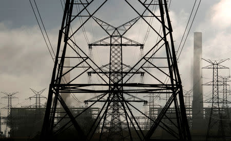 FILE PHOTO: Power lines run from Liddell Power Station near Muswellbrook November 2, 2011. REUTERS/Tim Wimborne/File Photo