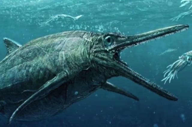 Has the Loch Ness Monster been found?