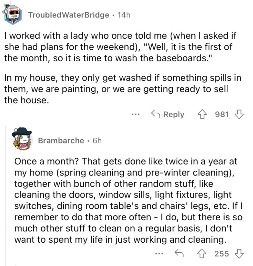 Reddit screenshot about the value of cleaning the baseboards.