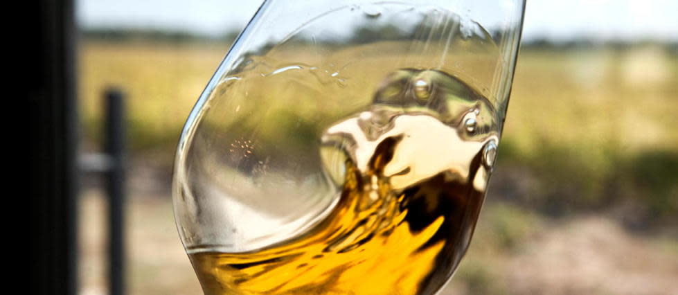 Un vin est moelleux avec une concentration en sucre entre 12 et 45 g/litre. Au-delà, il est liquoreux.

