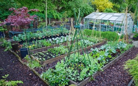 A greenhouse - Credit: Getty