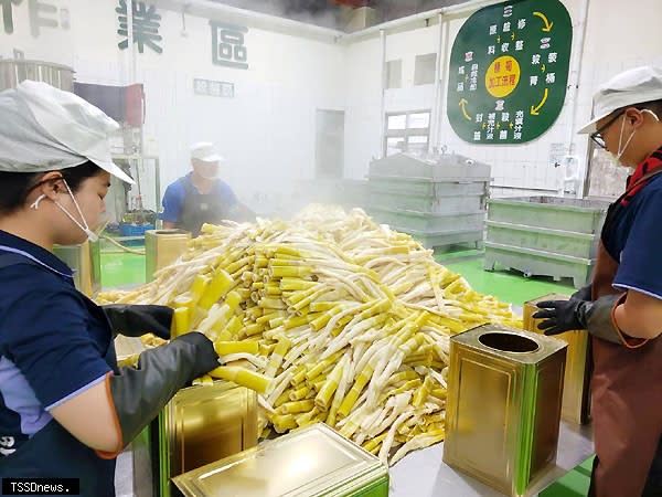 農糧署輔導獅潭鄉農會升級現代化加工廠鎖住桂竹筍新鮮美味，歡迎民眾採購當令桂竹筍回家製作美味佳餚。（記者江乾松攝）