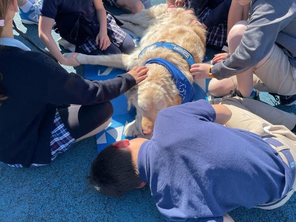 Mercy, a Lutheran Church Charities comfort dog, visiting with students in Nashville, Tennessee after the Covenant School shooting.