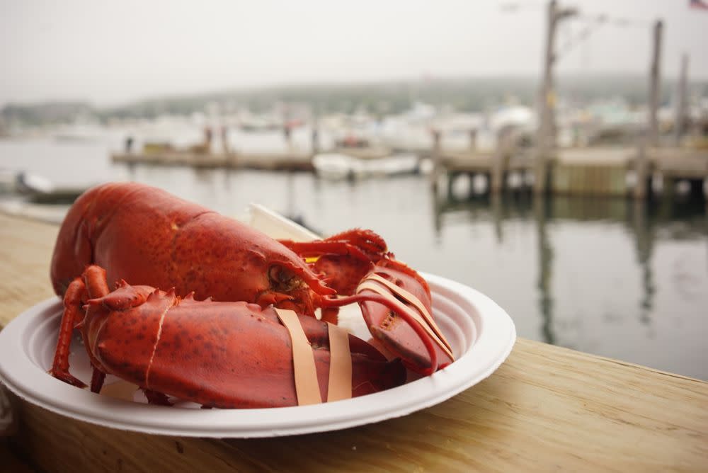 Beal's Lobster Pier