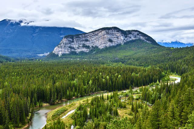 <p>Getty</p> Banff National Park