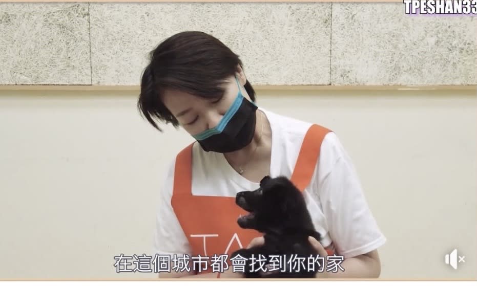 黃珊珊》知道台北有多少家犬貓嗎？