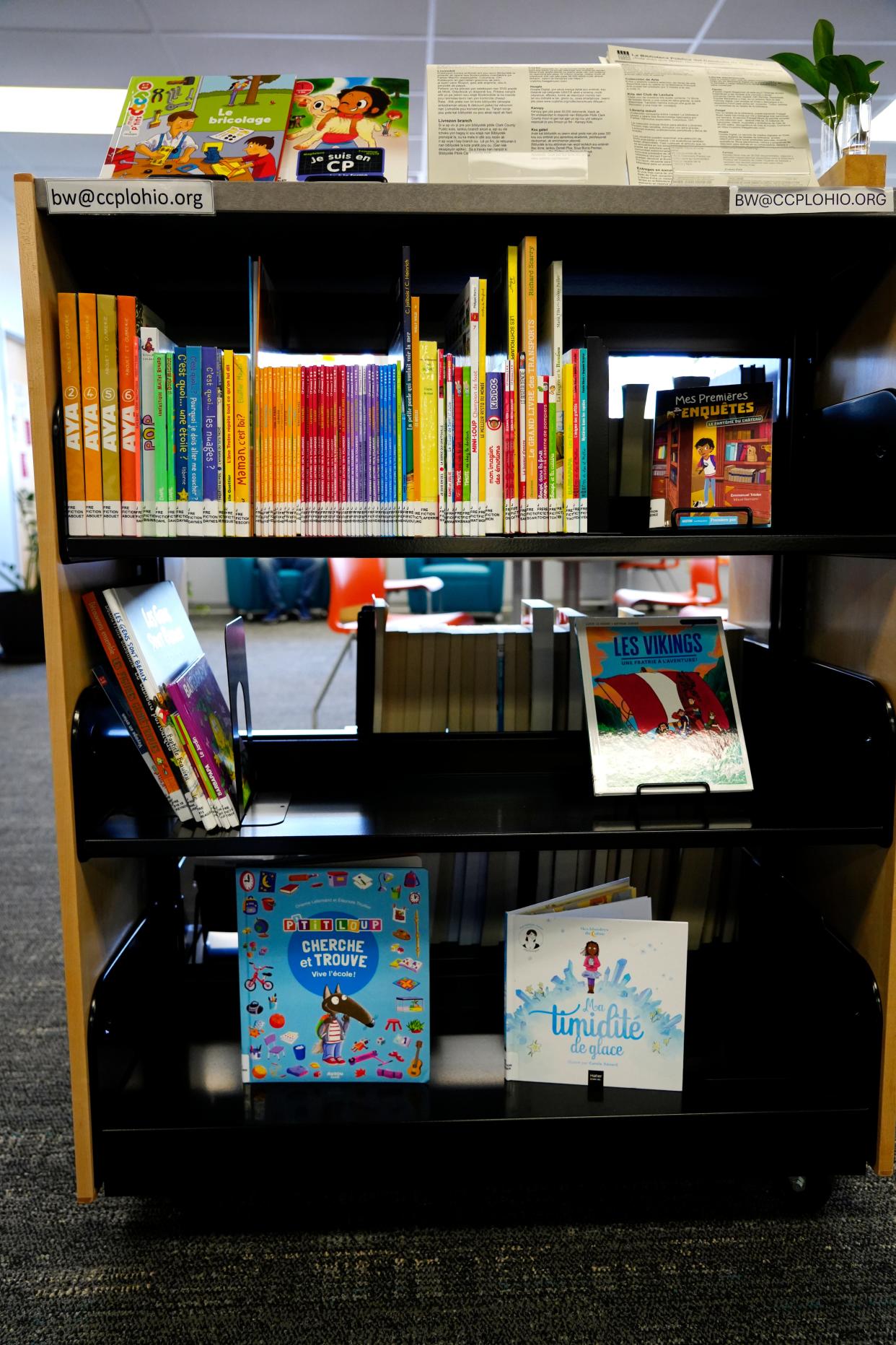 The Southgate branch of the Clark County Public Library system has a French language section for Haitian patrons.