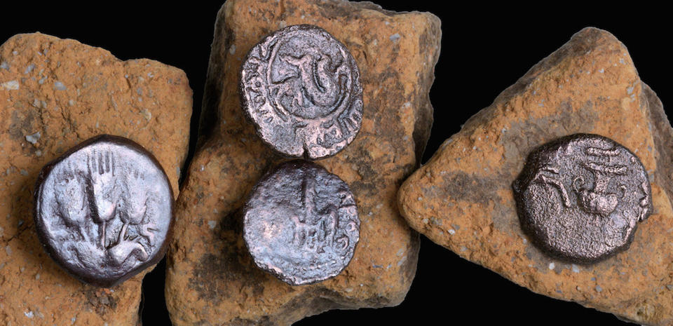 The four ancient coins that volunteers and archaeologists recovered during the excavation. <cite>Clara Amit; Courtesy of the Israel Antiquities Authority</cite>