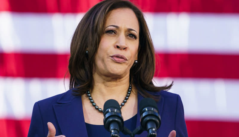 Kamala Harris will go by the moniker "Pioneer" among secret service agents. Source: Getty