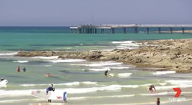 The 69-year-old was at Lorne Beach on Friday when the encounter occurred. Source: 7News