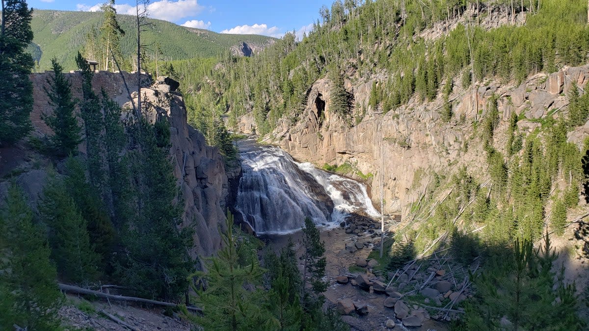 The majesty of Gibbon Falls in Yellowstone (Simon and Susan Veness)