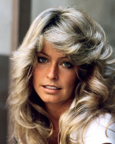 20 '70s Hairstyles That Feel Chic and Modern