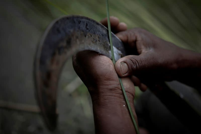 The Wider Image: Nepal's honey gatherers say fewer hives threaten tradition